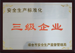 安全生產(chǎn)標(biāo)準(zhǔn)化三級(jí)企業(yè)