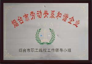 煙臺(tái)市勞動(dòng)關(guān)系和諧企業(yè)